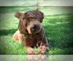 Small #16 Breeder Profile image
