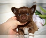 Small #1 Breeder Profile image