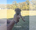 Small #31 Breeder Profile image