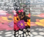 Small #241 Breeder Profile image