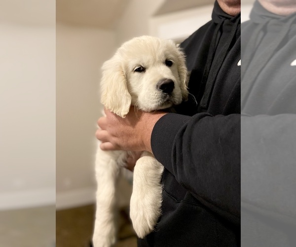 Medium Photo #3  Breeder Profile in PAYSON, UT, USA