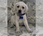 Small #2 Breeder Profile image
