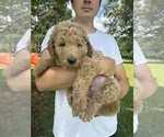Small #6 Breeder Profile image