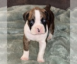 Small #11 Breeder Profile image