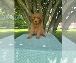Small #1 Breeder Profile image