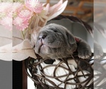 Small #20 Breeder Profile image