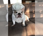 Small #20 Breeder Profile image