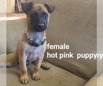Small #3 Breeder Profile image