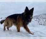 Small #101 Breeder Profile image
