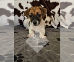 Small #21 Breeder Profile image