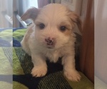 Small #7 Breeder Profile image