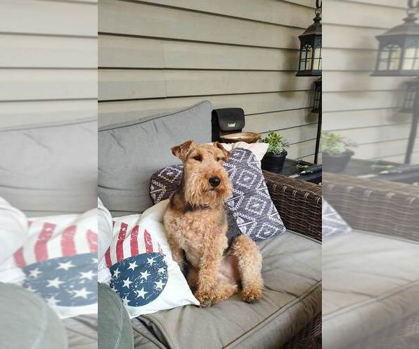 Medium Photo #1  Breeder Profile in BLUE RIDGE, GA, USA