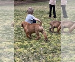 Small #14 Breeder Profile image