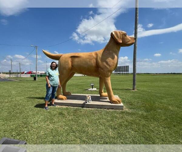 Medium Photo #15  Breeder Profile in ENID, OK, USA