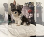 Small #6 Breeder Profile image