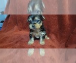 Small #304 Breeder Profile image
