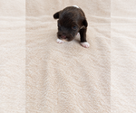 Small #5 Breeder Profile image
