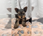 Small #2 Breeder Profile image