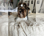 Small #26 Breeder Profile image