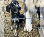 Small #4 Breeder Profile image