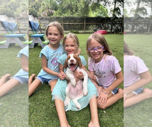 Medium Photo #121  Breeder Profile in HORTENSE, GA, USA