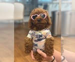 Small #3 Breeder Profile image