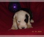Small #1 Breeder Profile image