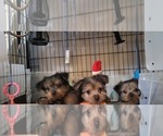 Small #165 Breeder Profile image
