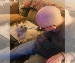 Small #50 Breeder Profile image
