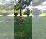 Small #18 Breeder Profile image