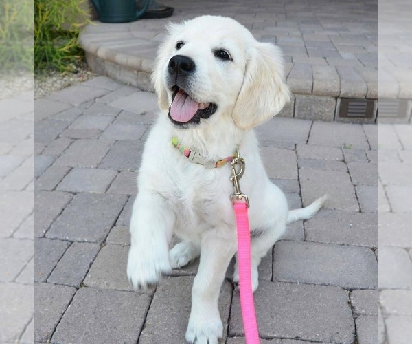 Medium Photo #1  Breeder Profile in MEDFORD TOWNSHIP, NJ, USA
