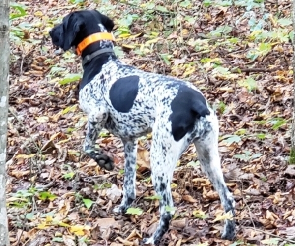 Medium Photo #1  Breeder Profile in CRAGFORD, AL, USA