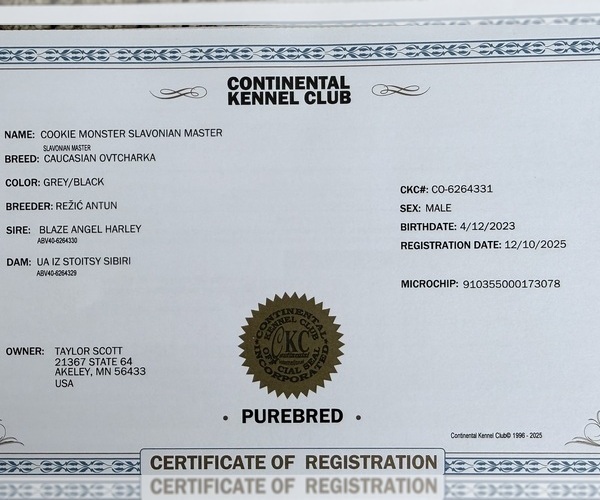 Medium Photo #9  Breeder Profile in AKELEY, MN, USA