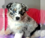Small #3 Breeder Profile image