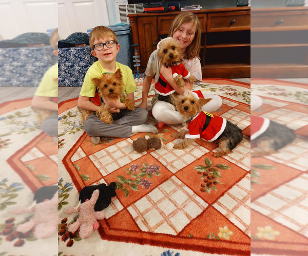 Medium Photo #1  Breeder Profile in WINNABOW, NC, USA
