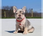Small #7 Breeder Profile image