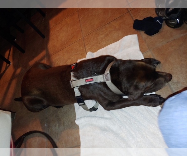 Medium Photo #1  Breeder Profile in PONTE VEDRA BEACH, FL, USA
