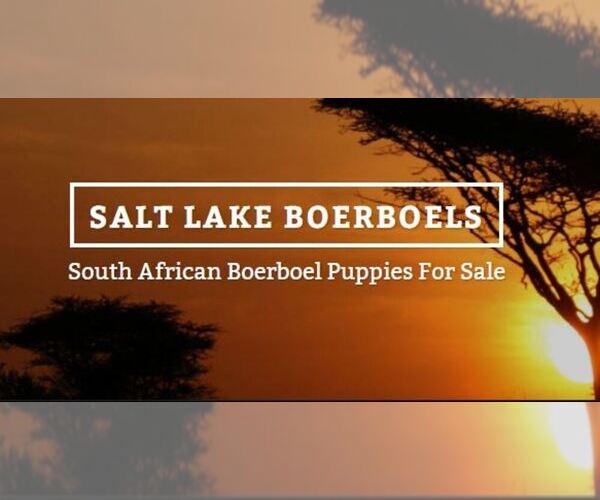 Medium Photo #1  Breeder Profile in CLEARFIELD, UT, USA