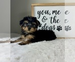 Small #1 Breeder Profile image