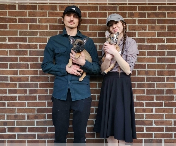 Medium Photo #1  Breeder Profile in LIVONIA, MI, USA