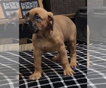 Small #4 Breeder Profile image