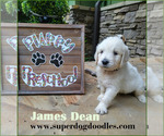 Small #21 Breeder Profile image
