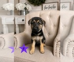 Small Photo #4  Breeder Profile in ALACHUA, FL, USA