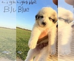 Small #2 Breeder Profile image