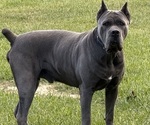 Small #29 Breeder Profile image