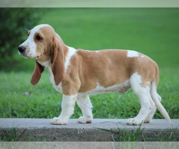 Medium Photo #5  Breeder Profile in LIBERTY, KY, USA