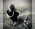 Small #7 Breeder Profile image