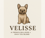 Small #6 Breeder Profile image
