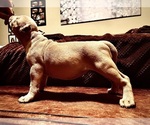 Small #12 Breeder Profile image