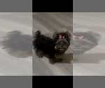 Small #14 Breeder Profile image